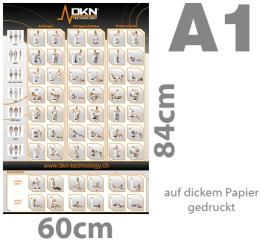 DKN Trainingsplakat für Vibrationstraining (BIG Poster)